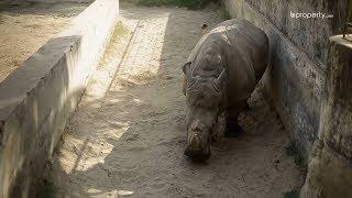 Exploring The City | The Bangladesh National Zoo