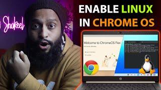 How To Enable Linux Into ChromeOS Flex & Install Linux Apps!