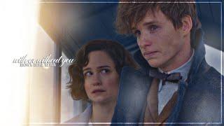 Newt + Tina || With Or Without You