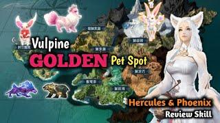 Vulpine GOLDEN Pet Spot - Perfect World Mobile