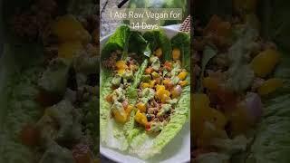 I Ate Raw Vegan for 14 Days | Here Are My Results #weightlossjourney