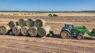 Hay the Sonne Farms way