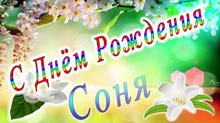 С Днём Рождения Соня