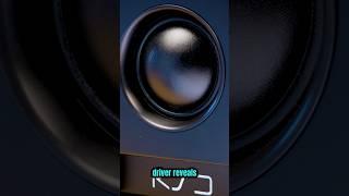 KSD A200mk2 | Demo it at Providence Sound and Vision  #proaudio #studiomonitors