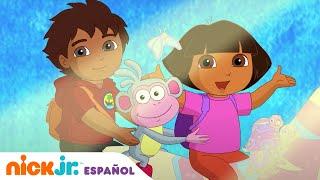¡Ayuda a Dora y a Diego a salvar a un conejito bebé!  | Nick Jr. en Español