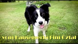 WUNDERHUND Rocky der Alpenrocker aus dem Ötztal