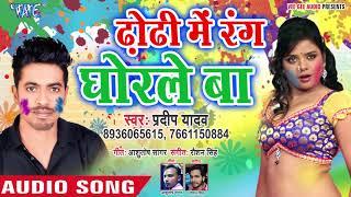 Dhondhi Me Rang Ghorle Ba - Holi Me Mile Aaiha - Pradeep Yadav - Bhojpuri Hit Holi Songs 2019 New