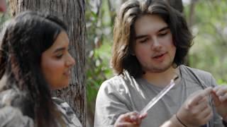 Hear about Griffith University from international students