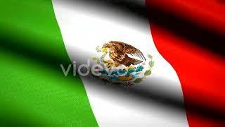 Mexico Flag Waving Textile Textured Background  Seamless Loop Animation  Full Screen  Slow motion