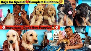 Raju Da Special | Dog Guide For Beginners | Dog Health Care Bengali | Dog Caring Tips | Vaccination