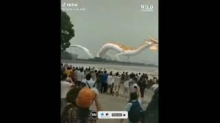 Chinese dragon caught on camera |Really or fake..? drop your comment..!