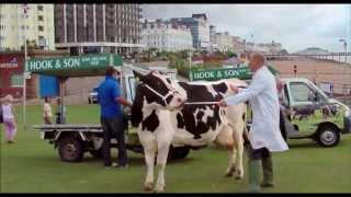 The Moo Man - trailer