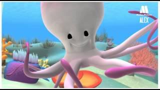 Octopus, Cartoon to learn about sea animals - Alex in the sea