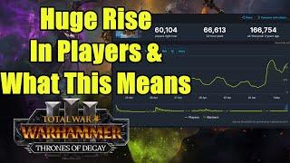 Thrones of Decay Did Really Well - What's Next & Some Hope For The Future - Total War Warhammer 3