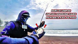 Umpan habis terus..?! Jangan salah pakai ukuran mata kail || Musim ikan recekan mancing pinggir laut