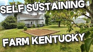 Sustainable Farm in Kentucky, 14+ acres, barn, pond, Cattle land for sale