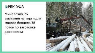 Минлесхоз РБ выставил на торги для малого бизнеса 75 лотов по заготовке древесины