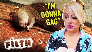 Cleaner Finds Dead Rat In Home! | Obsessive Compulsive Cleaners | Episode 25 | Filth