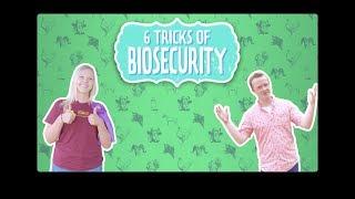 6 Tips for Biosecurity - A Guide for Youth Livestock Exhibitors