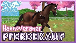 Star Stable [SSO]: Der HANNO aus der APP im SPIEL [PFERDEKAUF] [DEUTSCH]