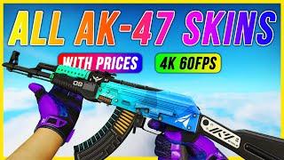ALL AK-47 Skins With Prices CS:GO | ALL AK47 SKINS SHOWCASE
