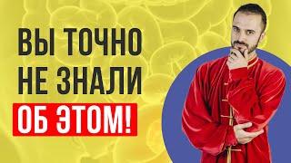 Секреты кишечника о которых вы не знали. Как улучшить работу кишечника? Самомассаж живота