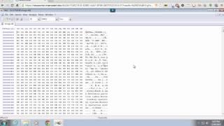 Using a Hex Editor