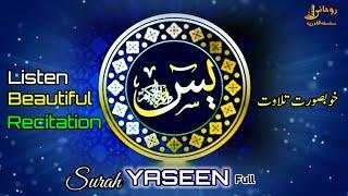 Surah Yaseen Beautiful Recitation | Surah Yasin | Rohani Silsila e Qadiriya