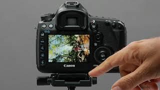 Canon DSLR Tutorial - AF Point Display