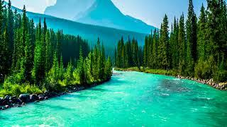 A Calm & Beautiful Turquoise Water, Bow River Flowing, Nature Sounds, White Noise for Sleep10 hrs.