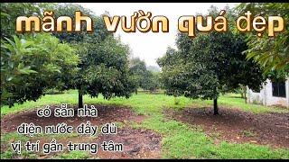 bán mãnh vườn măng cụt đang mua thu hoạch có sẵn nhà cấp 4, giá rẻ nhất khu vực thích hợp đầu tư