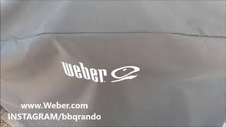 Weber Q 3200 Grill Tip #12  from BBQ Rando