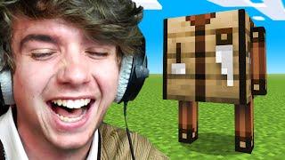 Minecraft But I'm A Crafting Table!