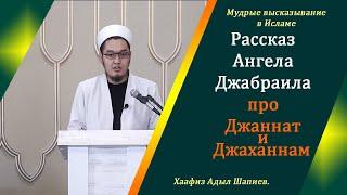 Рассказ Ангела Джабраила (алейхи салям) про Джаннат и Джаханнам|Хаафиз Адыл Шапиев.