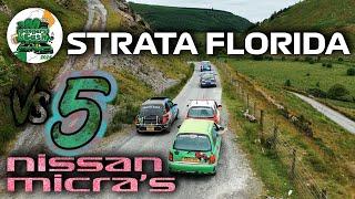 STRATA FLORIDA vs 5 NISSAN MICRA'S #bangersandcash24