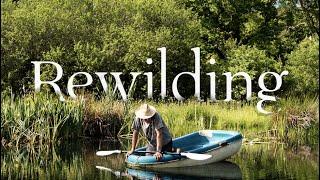Rewilding: Is it time to rewild our planet and ourselves?