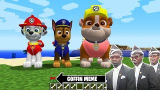 This is Real PAW PATROL in Minecraft