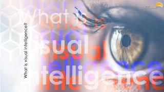 What is visual intelligence