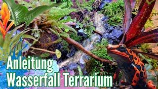 Wasserfall - Terrarium Gestaltung & Bepflanzung mit Pflanzen von Ben's Jungle