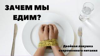 Зачем Человек Ест? Двойная Ловушка Современного Питания #питание #еда