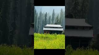 Short #video #kashmir_valley%%#weather#beauti