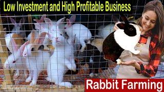 Rabbit Farming Business Plan - How to Start Business Rabbit Farm - Business Ideas at Home