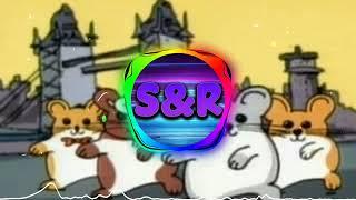 The HampsterDance Song (slowed & reverb)