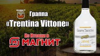 Граппа Trentina Vittone (Магнит) (18+)