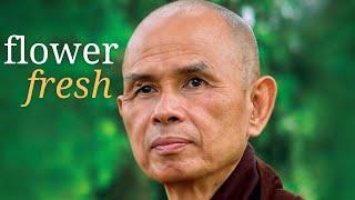 Flower Fresh | Immersive Meditation with the Words of Thich Nhat Hanh