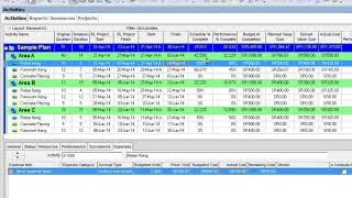 How to monitor budgeted and actual cost in Primavera P6