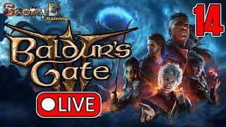 LIVE Baldur's Gate 3 / Part 14 - Sken the Barbarian Playthrough / Nightsong and Ketheric Thorm