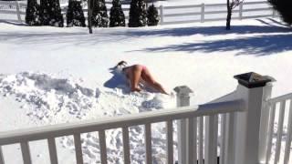 Blizzard naked dive 2016