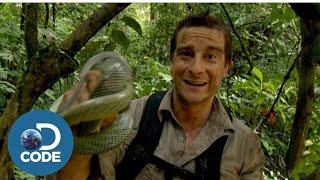 Man vs Wild in Hindi with Bear Grylls Hindi episode Bear Grylls.