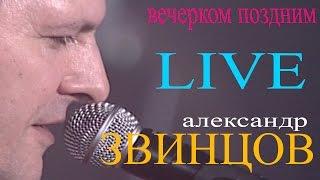 Александр Звинцов - Вечерком поздним (Live)